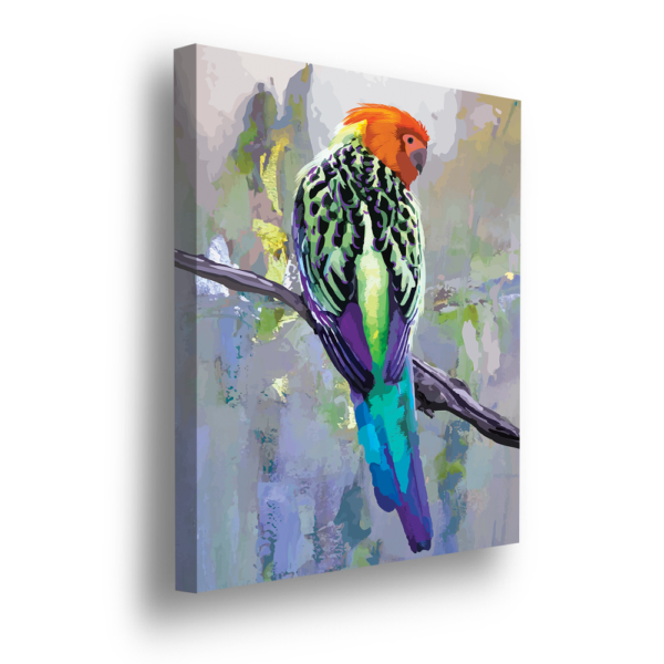 Rosella – Wall Art by Modern Prints - Modern Prints