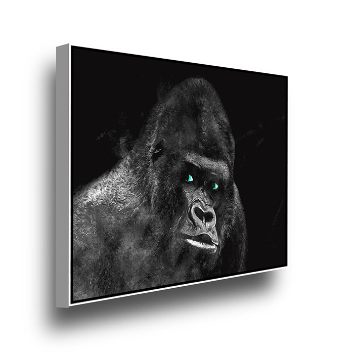 Window to the Soul – Gorilla – Modern Prints