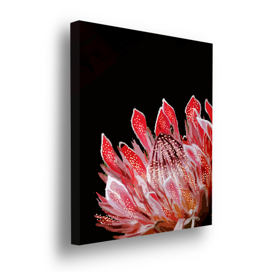 Vibrant Protea – Wall Art by Modern Prints - Modern Prints